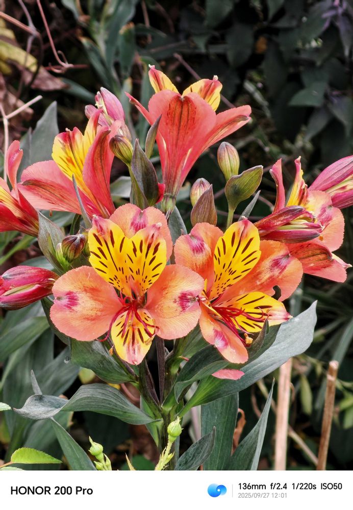 とりさんの中区への投稿