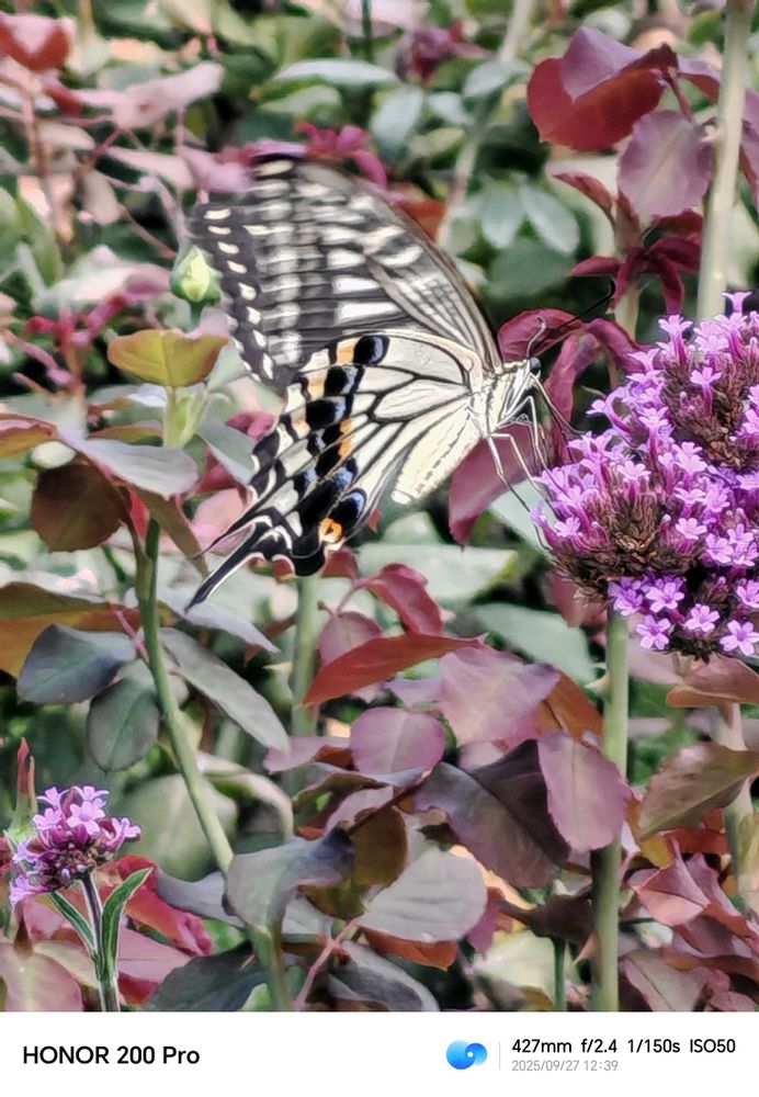 とりさんの中区への投稿