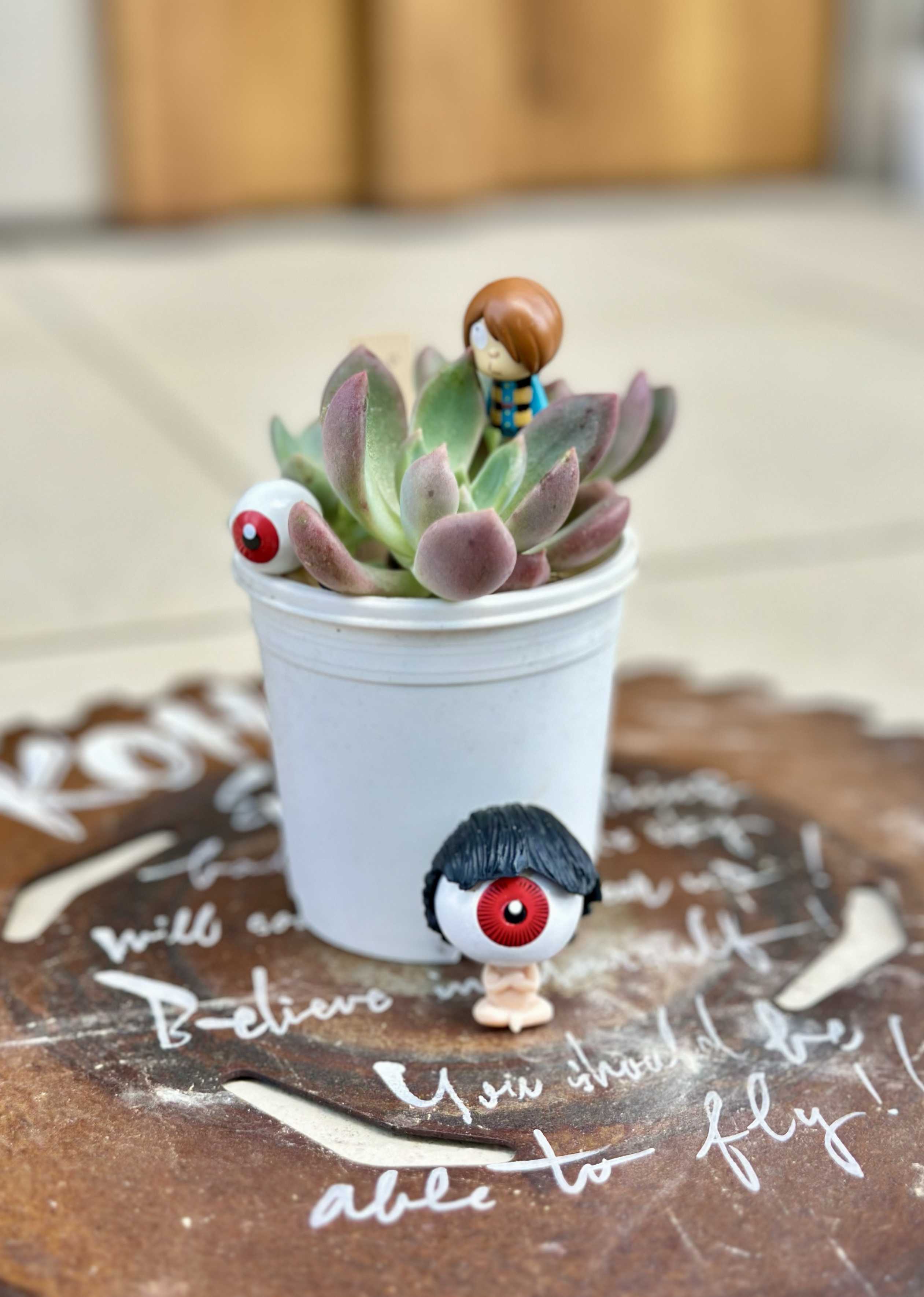 つぶつぶ屋の一覧｜🍀GreenSnap（グリーンスナップ）