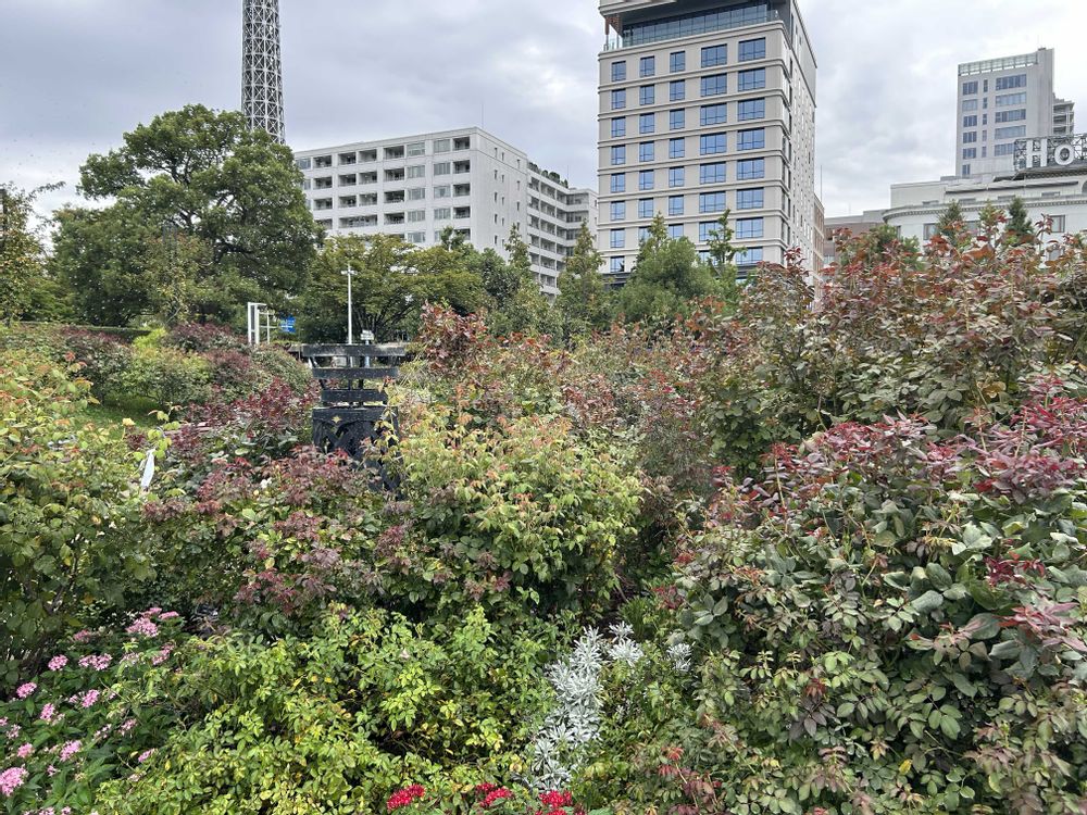 テツロウさんの山下公園への投稿
