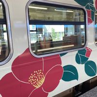 シラネアオイ,ツバキ,ササユリ,花と乗り物の画像