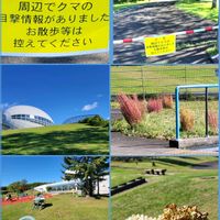 イチゴ,ブルーベリー,ラズベリー,散歩道,北海道の画像