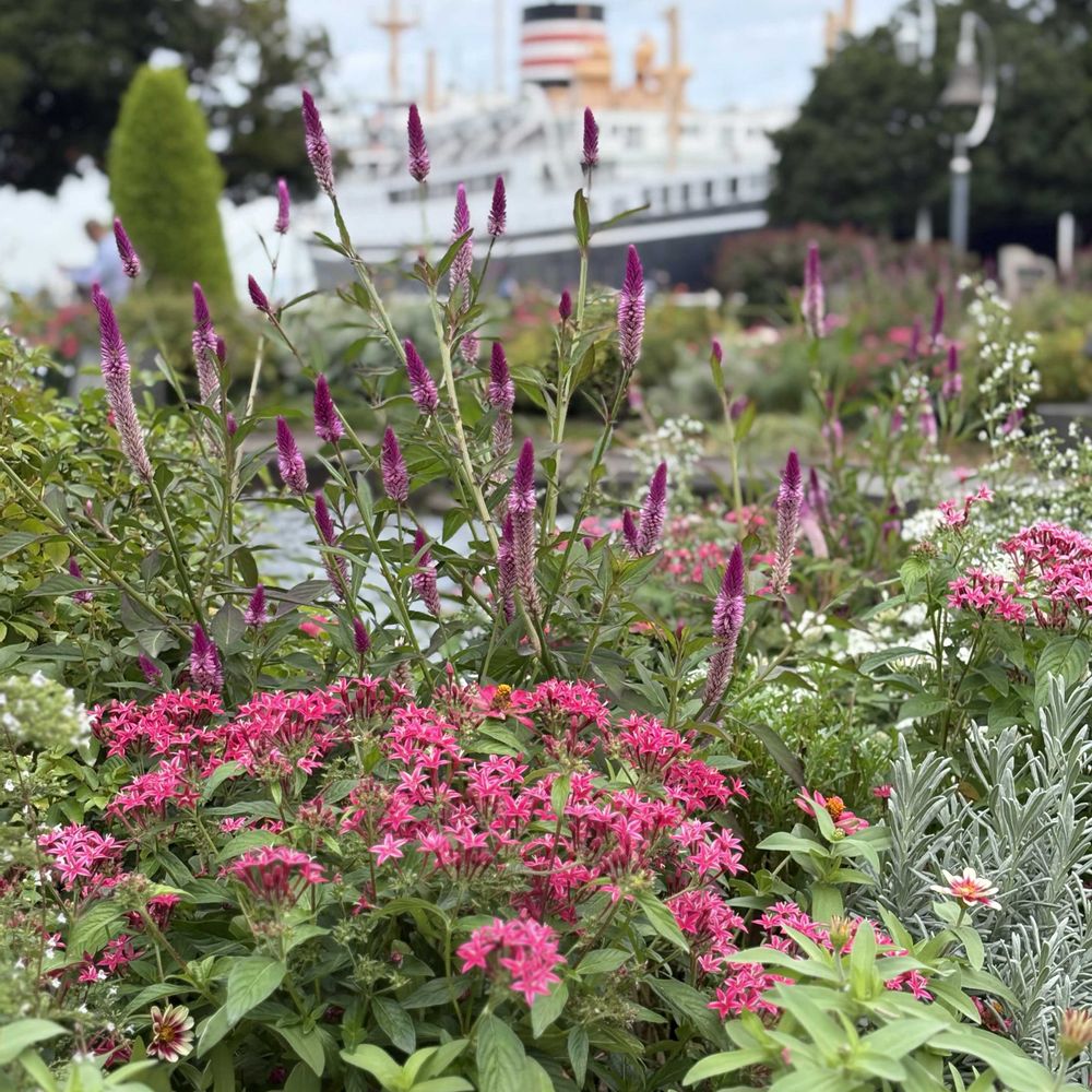 na.ta.neさんの山下公園への投稿