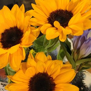 大の里,花束,お祝い花, フラワーアレンジ,夏日の画像