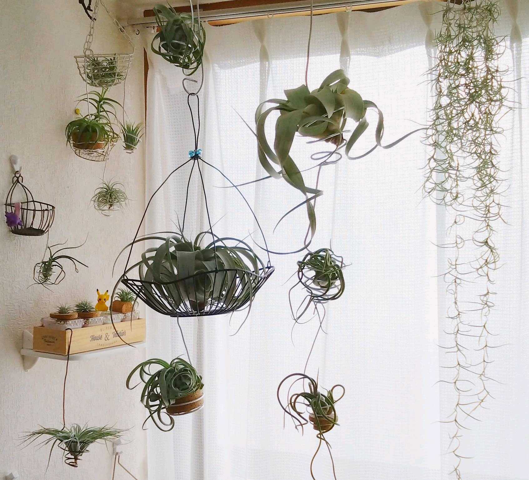 吉祥天、トランカータ 2025第3弾 吉祥天とあの頃のトランカータ - YouTube