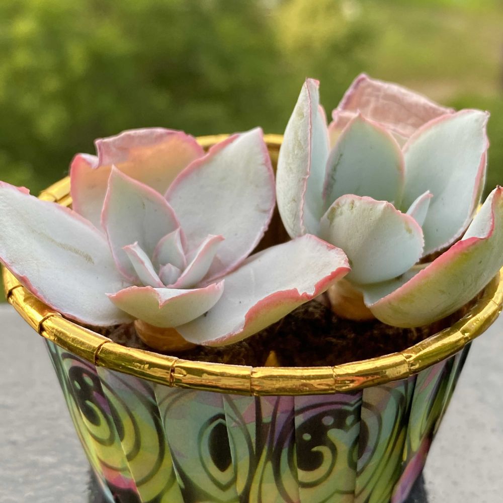 J U Nさんの山下公園への投稿