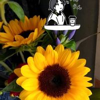 カーネーション,クズ,ヒマワリ,ヒマワリ,ランタナの画像