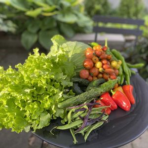 北海道,オーガニック,今日の収穫,家庭菜園,庭の画像