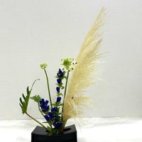 オーニソガラム,パンパスグラス,リンドウ,フィロデンドロン・クッカパラ,生け花の画像