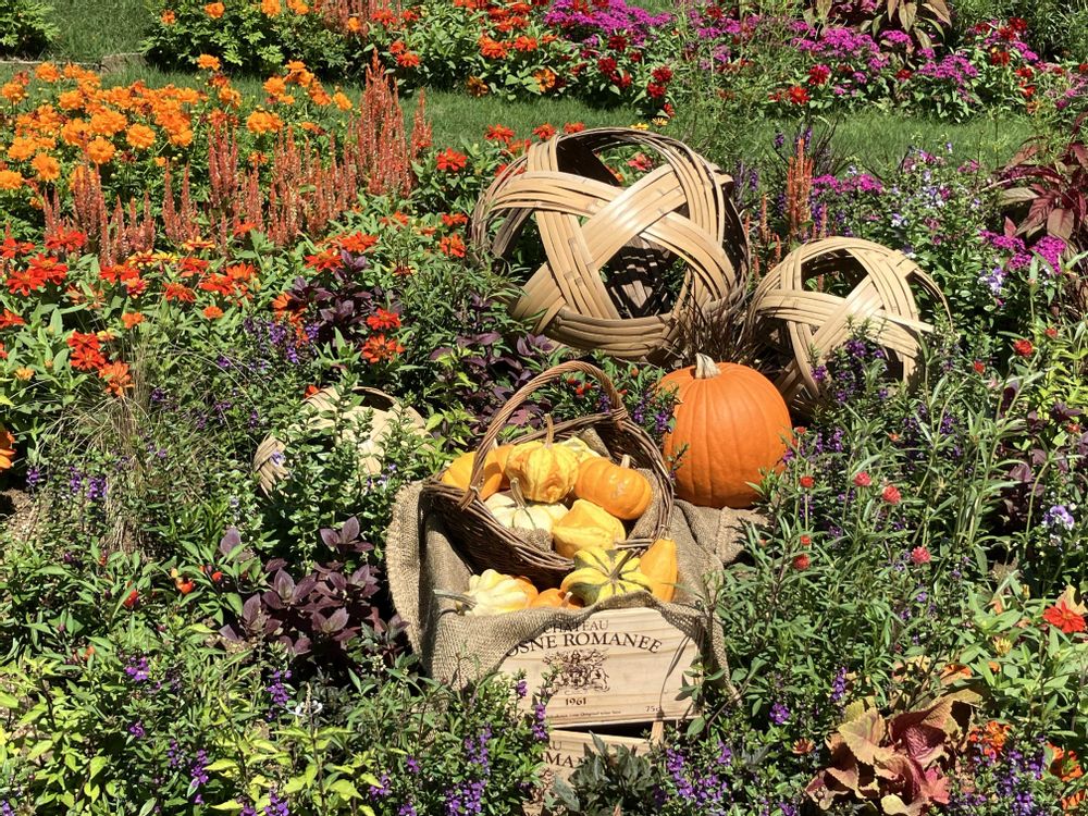 君にバラバラさんの里山ガーデン（大花壇）への投稿