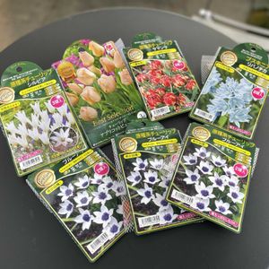 北海道,オーガニック,家庭菜園,庭の画像