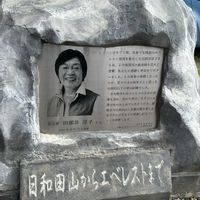 エゴマ,ハイキング・登山,日和田山,山野草大好きの画像