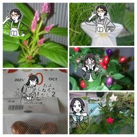 ルコウソウ,メマツヨイグサ,球根達,いつも、いいね!ありがとうございます(*´`)♡,LINEスタンプの画像