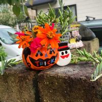 三日月ネックレス,ジニア（百日草）,花のある暮らし,秋の訪れ,GSに感謝。の画像