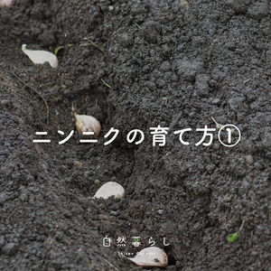 植物のある暮らし,肥料,プランター栽培,自然のある暮らし,家庭菜園奮闘日記の画像