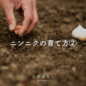 植物のある暮らし,肥料,プランター栽培,自然のある暮らし,家庭菜園奮闘日記の画像