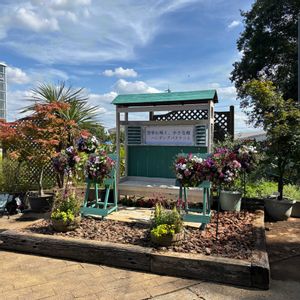 寄せ植え,今日の一枚,ハンギングバスケット,とちぎ花センターの画像