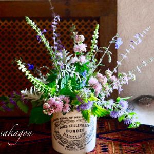 サルビアアズレア,セントーレアギムノカルパ,シソの花,ロシアン・セージ,カリオプテリス　ヒントオブゴールドの画像