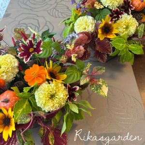 コリウス,コリウス,コレオプシス,コレオプシス,バラの画像