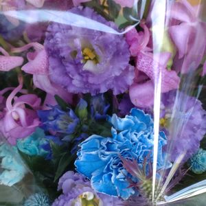 ガーデニング,花束,散策,お祝い花,植え込みの画像