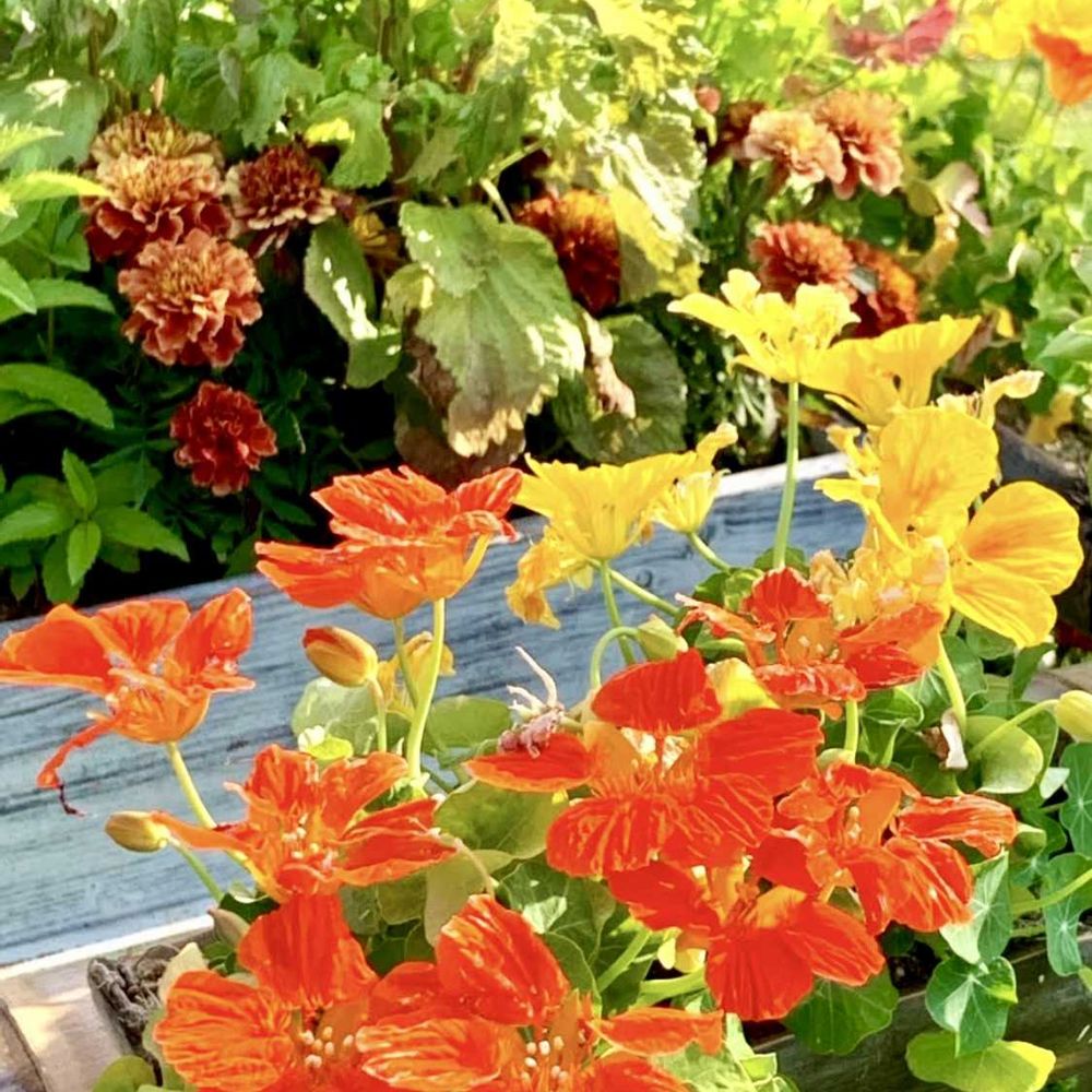 シゲルさんの山下公園への投稿