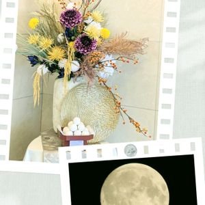 造花,中秋の名月,綺麗,温泉県大分♨️,チーム大分の画像