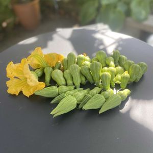 北海道,オーガニック野菜 ,キッチン,家庭菜園,庭の画像