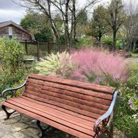 可愛い,イングリッシュガーデン,鞍ケ池公園,GSのみなさんに感謝♡,ありがとう♡の画像