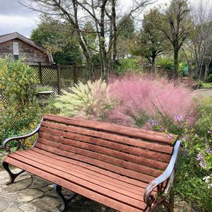 可愛い,イングリッシュガーデン,鞍ケ池公園,GSのみなさんに感謝♡,ありがとう♡の画像