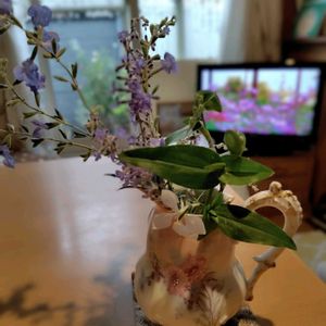 ガウラ,ロシアンセージ,ガウラ(白蝶草),ボックセージ（サルビアウルギノーサ）,ありがとう❤️の画像