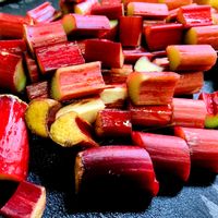 ルバーブ,ルバーブ,食用大黄（ショクヨウダイオウ）,自然観察,真っ赤の画像