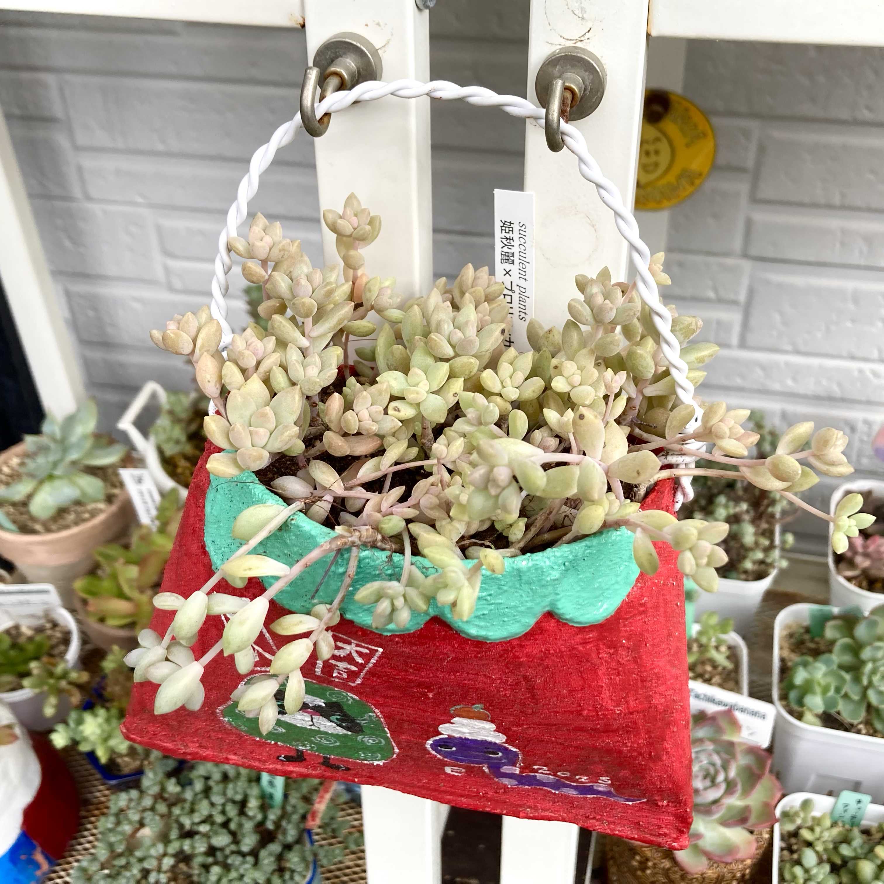 姫秋麗xプロリフィカの投稿画像 by はなずきんさん｜はなずきん姫秋麗x