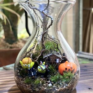 かぼちゃ,苔テラリウム,ガラス容器,ハロウィーン,枝流木の画像