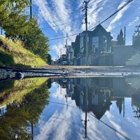 ナナカマド,桜の木,彩雲,北海道,近くの公園の画像