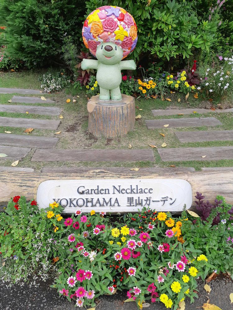 まっちゃさんの里山ガーデン（大花壇）への投稿