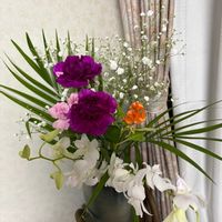 ニオイバンマツリ,アレカヤシ,アレカヤシ,バラ、薔薇、ばら,今日も元気でね♥️の画像