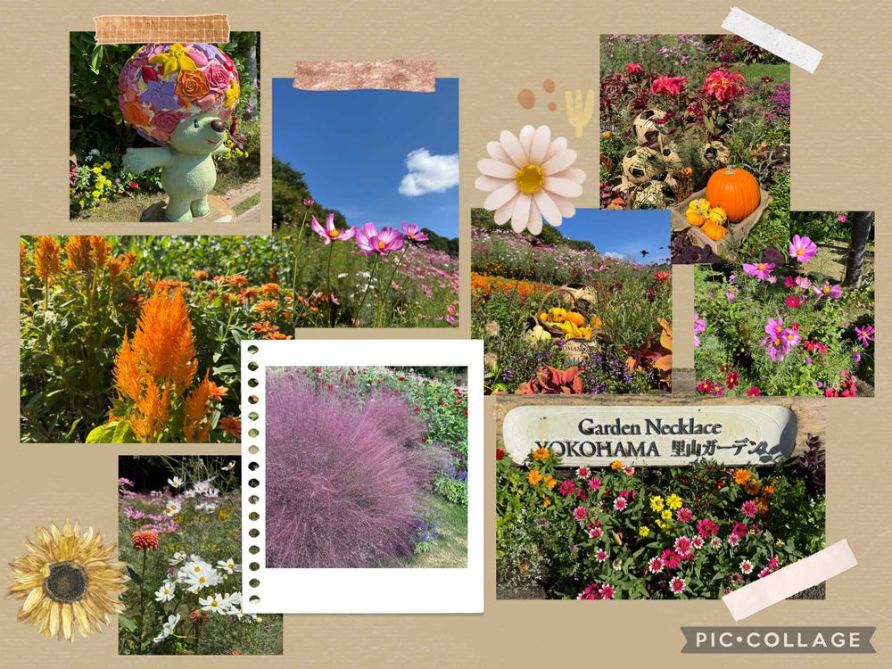 葉っこさんの里山ガーデン（大花壇）への投稿