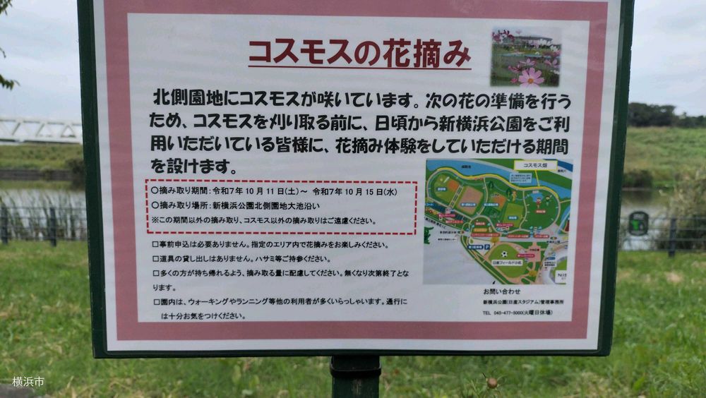 皇帝ダさんの港北区へのレポート