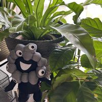 ハナキリン,オオタニワタリ,コーヒーの木,ミャクミャク,大阪・関西万博の画像