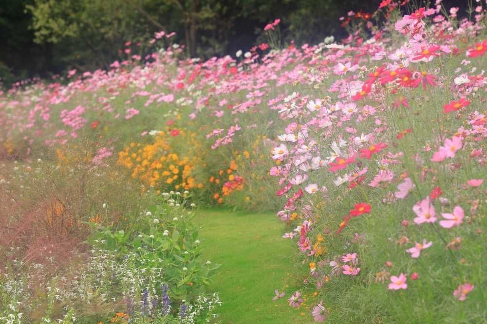 maroさんの里山ガーデン（大花壇）への投稿