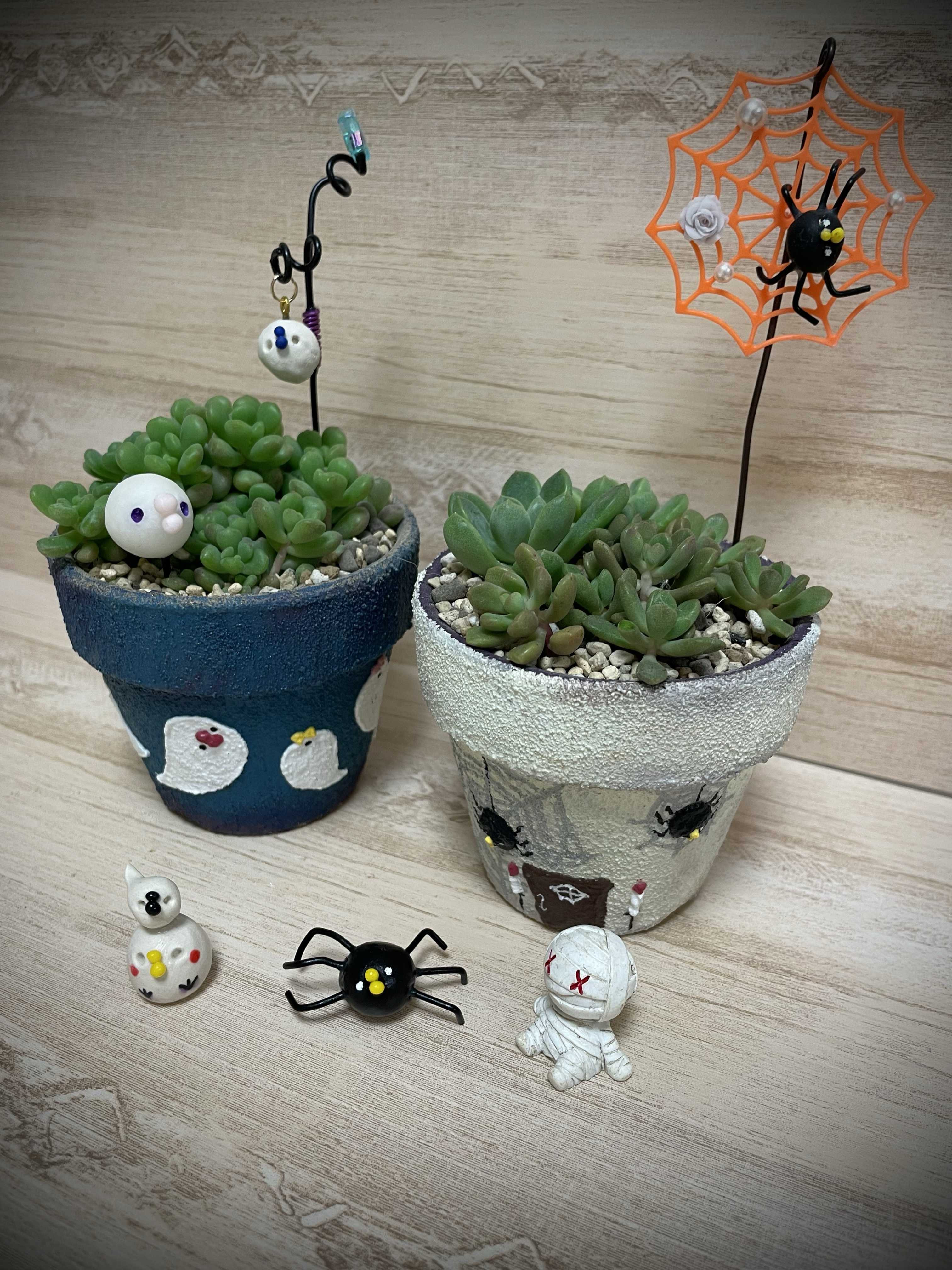 つぶつぶ屋の一覧｜🍀GreenSnap（グリーンスナップ）