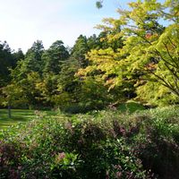 ハギ,お寺,庭園,緑のある暮らし,世界遺産の画像