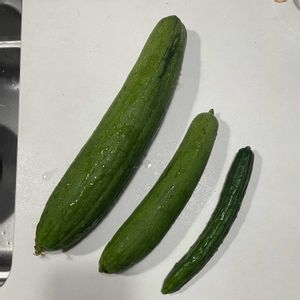 キュウリ,ヘチマ,ヘチマ,SDG.s,脱プラの画像