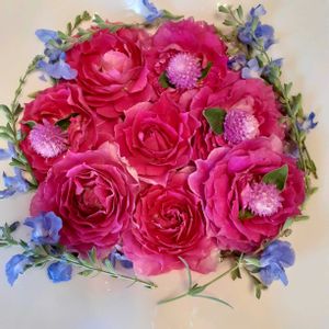 千日紅,サルビアアズレア,シェラザード,バラを楽しむ,薔薇愛同盟の画像