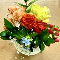 カーネーション,ケイトウ,バラ,ヒペリカム,ブルースターの画像