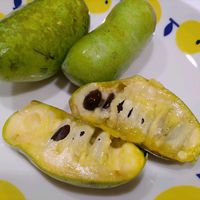 ポポー,実のりちゃん♪の画像