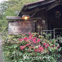 レモングラス,カラミンサ,秋明菊,長野県茅野市,蓼科ハーバルノートの画像