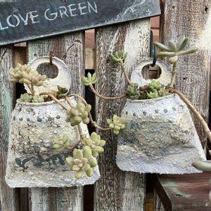 寄せ植え,多肉植物,癒し,リメ缶バッグ,手作り雑貨の画像