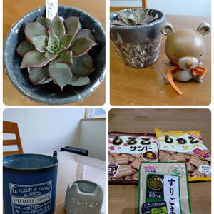 ローゼル,白ナス,マディバ,マー坊ナス,白ローゼルの画像