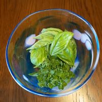 バジル,パセリ,手作りの庭,家庭菜園の画像